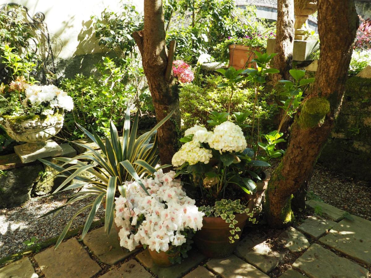Bed and Breakfast Casa Ella Баньи-ди-Лукка Экстерьер фото